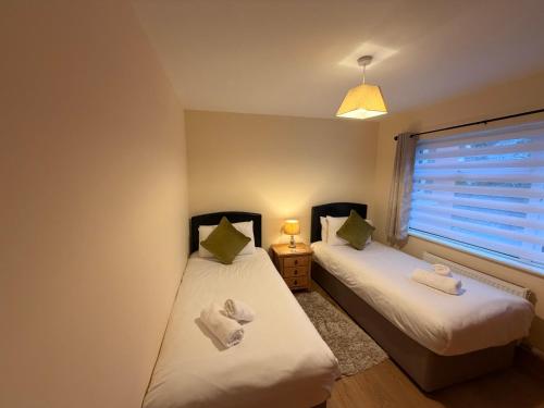 two twin beds in a room with a window at The Colony Townhouse Dingle in Dingle