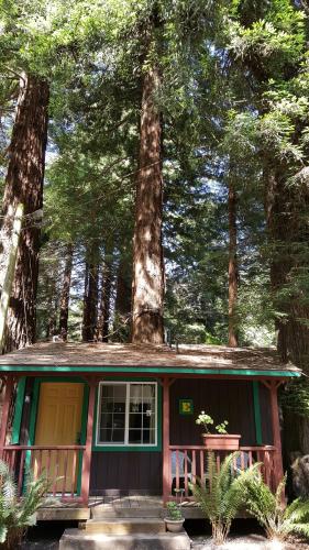 a small house in the middle of a forest at Emerald Forest Cabins in Trinidad