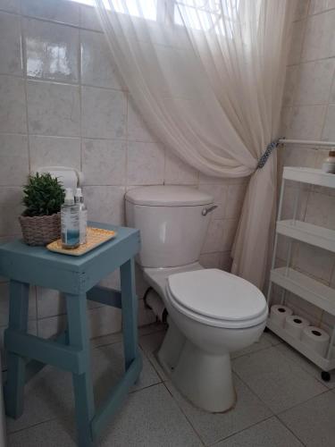 a bathroom with a toilet and a blue table at Melrose Garden Cottages - Hibiscus Cottage in Durban