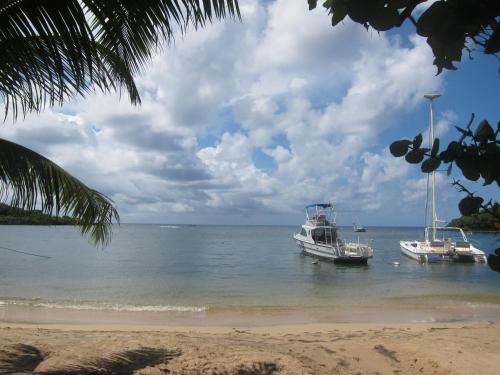 two boats in the water on a beach at Hotel Chillies and Native Sons Diving in West End