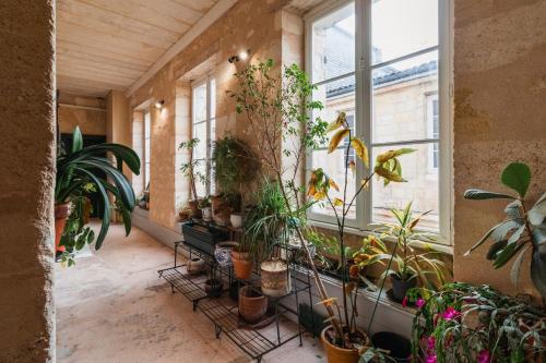 Notre Dame Apartment