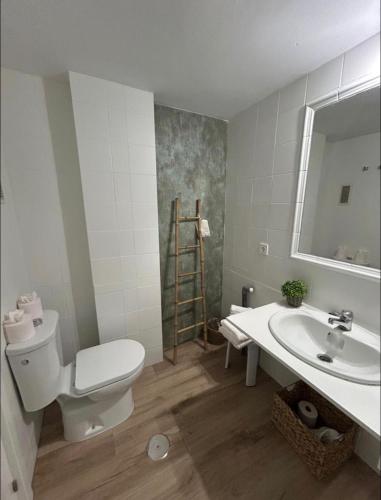 a bathroom with a toilet and a sink and a mirror at Las Marismas-Puente del Rey in El Rocío