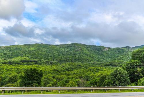 a view of a mountain with trees and a road at Smoketree Lodge in Banner Elk