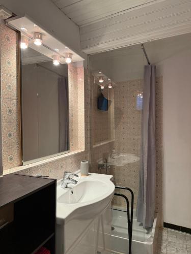 a bathroom with a white sink and a shower at Chez Julie in Valleraugue