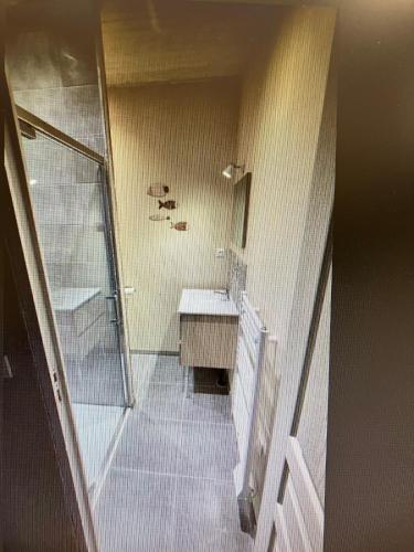 a bathroom with a walk in shower and a sink at AUX ABORDS DU PoT BOUILLANT in Cromac