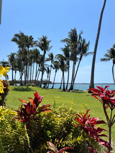a park with palm trees and the ocean in the background at Lousha Bach Dolphin Heads in Eimeo