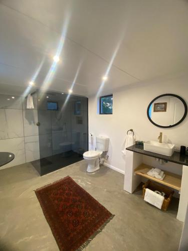 a bathroom with a toilet and a sink and a mirror at Desert Bloom Cottage in Buffelskloof