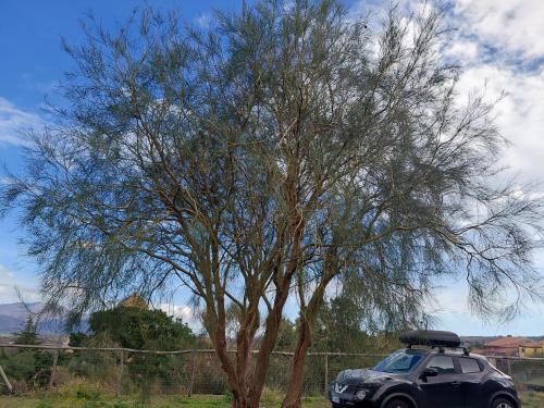 a car is parked next to a tree at Il Calice dell'Etna in Passopisciaro