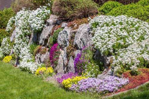 a garden with colorful flowers on a rock at BERGSUCHT-Ruhpolding, Traumlage am sonnigen Südhang, kostenlose Parkplätze, schnelles WLAN, ruhige Sackgasse, NETFLIX inklusive in Ruhpolding