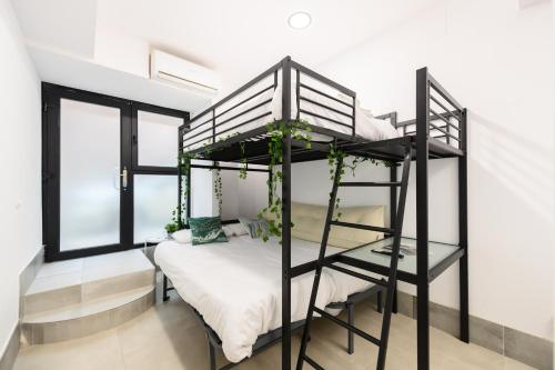 RJS3 - Acogedor Estudio en Barrio Salamanca - Temporal