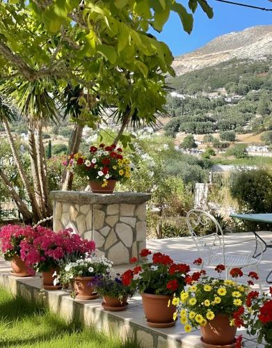 a bunch of potted flowers on a stone wall at The Kefalonian Divarata House in Kefalonia