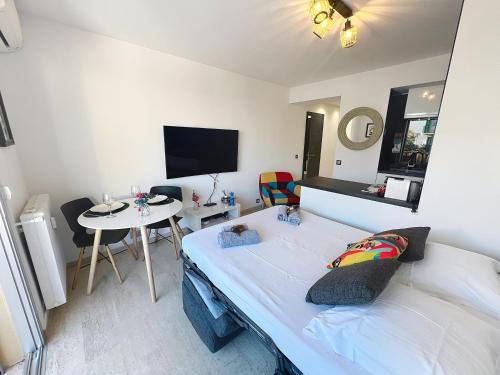 Bright and vast studio terrace easy parking Cannes heart of town 1 mn
