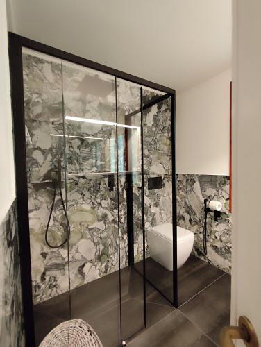 a bathroom with a shower with a toilet in it at Villa Elena in Manerba del Garda