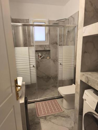 ein Badezimmer mit Dusche und Toilette in der Unterkunft NeliFlat in Lefkandi Chalkida