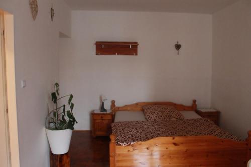 a bedroom with a wooden bed and a potted plant at Lucka in Ústí nad Labem