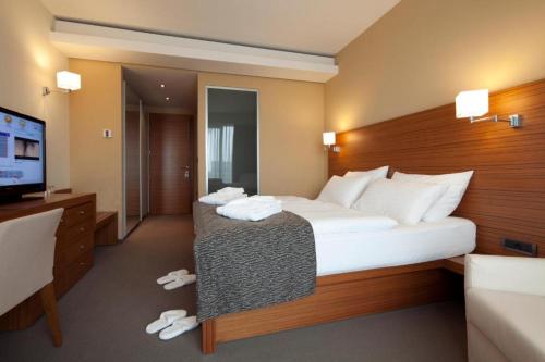 a hotel room with a large bed and a flat screen tv at Bohinj Eco Hotel in Bohinj