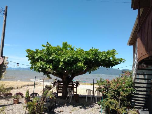 a tree on the beach with a table and chairs at Recanto dos Sabiás in Palhoça