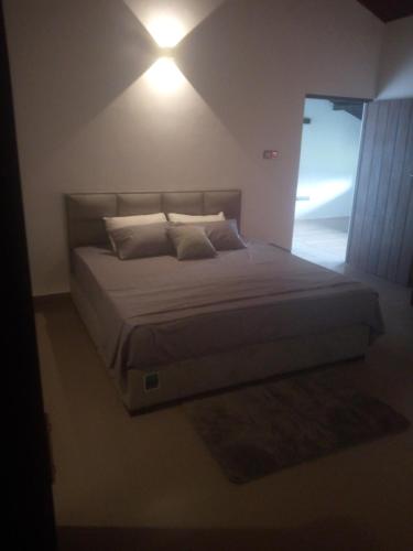 a bedroom with a bed with a light on the ceiling at Arhh castle in Ginigathena