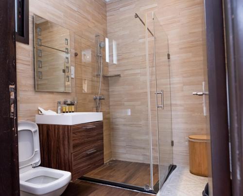 a bathroom with a shower and a toilet and a sink at Fallsway Palms in Lusaka