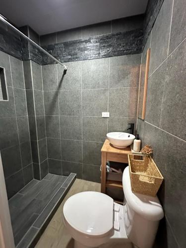 a bathroom with a toilet and a sink and a shower at Apartment D Fuertevali in San Salvador