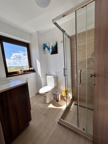 a bathroom with a toilet and a glass shower at Pensiunea Ivoire in Avrig