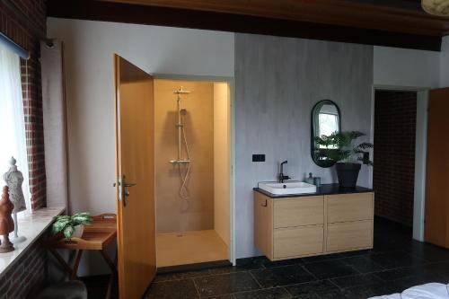 a bathroom with a sink and a shower at Bij nr 5 Teuge in Terwolde