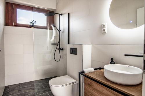 a bathroom with a sink and a toilet and a shower at Bandi Weekend House in Somlójenő