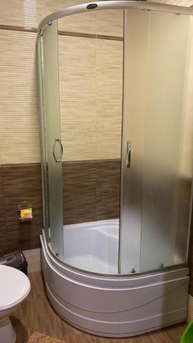 a shower with a glass door in a bathroom at Вілла Верховина in Skhidnitsa