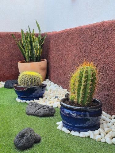 Casa Paca - Your Private Oasis in Lanzarote - Paradise by the Sea