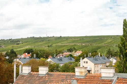 Cosy retreat in Viennas wine area