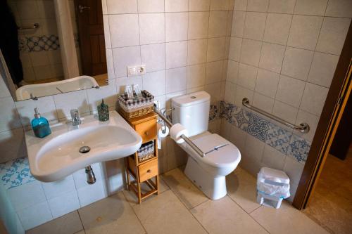 a bathroom with a sink and a toilet at Finca Los Pájaros Naturaleza cerca de Puy du Fou in Navahermosa