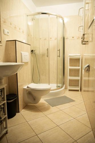 a bathroom with a shower and a toilet and a sink at Willa Pod Dobrym Humorem in Miedzygorze