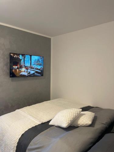 a bedroom with a bed with a tv on the wall at Stan na dan Pecinci in Pećinci