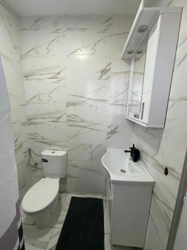 a white bathroom with a toilet and a sink at Stan na dan Pecinci in Pećinci