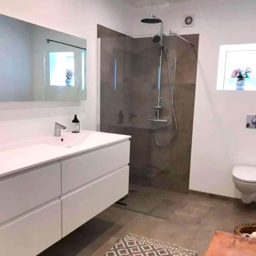 a bathroom with a shower and a sink and a toilet at Farmhouse in idyllic settings in Ærøskøbing