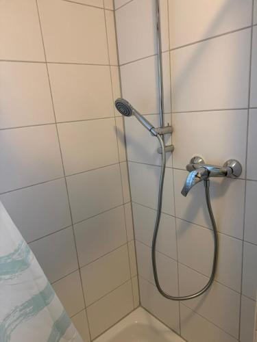 a shower with a shower head in a bathroom at Stadtmitte Ferienwohnung in Darmstadt