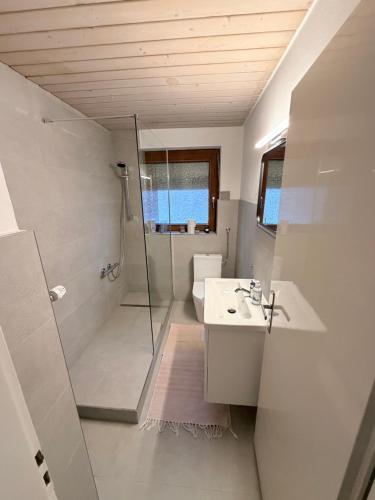 a bathroom with a shower and a toilet and a sink at Sunroom 2 Bed Apartment West Town B17 in Heidenheim an der Brenz