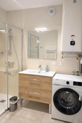 a bathroom with a washing machine and a sink at Les hébergements Rousseau in Oyonnax