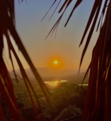 a view of the sunset through a palm tree at Jabula Beach House in Mngazana