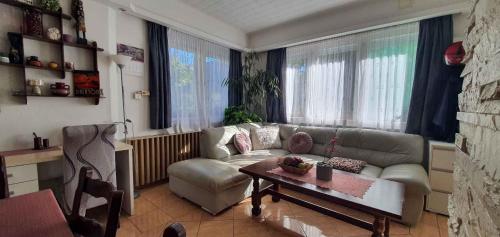 Holiday Homes in Siofok - Balaton 43405