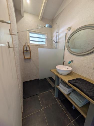 a bathroom with a sink and a mirror at Gîtes l'orée Bleue in Sainte-Rose