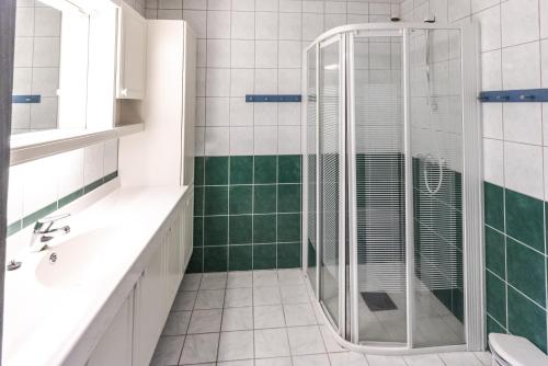 a bathroom with a shower and a sink at Bakkebyvegen 22A in Trysil