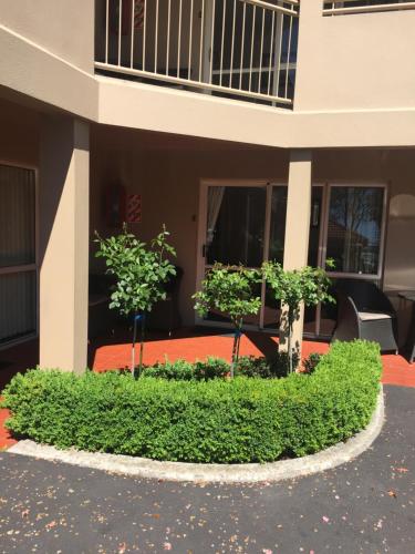 two trees in a bush in front of a building at Tuscana Motor Lodge in Christchurch
