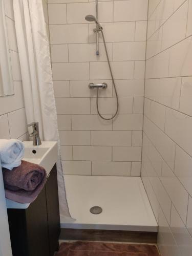 a bathroom with a shower and a sink at Maastricht House Anne in Maastricht