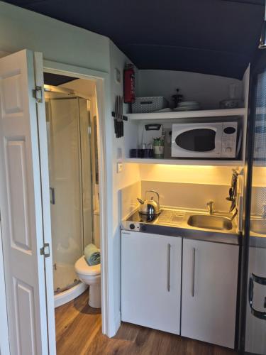 a small kitchen with a sink and a microwave at Shepherds Hut in Staithes
