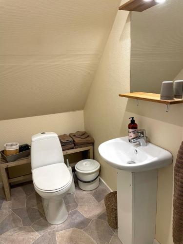a bathroom with a white toilet and a sink at Nygaard B&B in Nørre Nebel