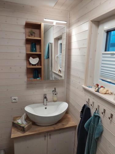 a bathroom with a sink and a mirror at Hausboot Hecht mit Dachterrasse in Schleswig in Schleswig