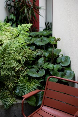 NINE DOTS Azorean Art Boutique Hotel — Patio