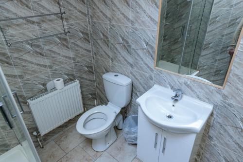 a bathroom with a toilet and a sink at Hacketts Bar And Accommodation in Kilkenny