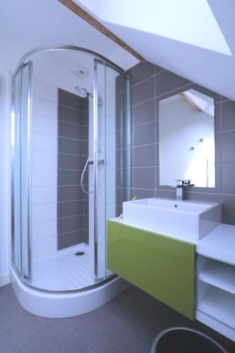a bathroom with a shower and a white sink at L'Abeille bleue in Cheillé